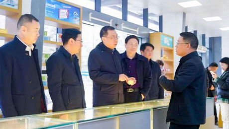 依法服务保障企业更好发展，陇南中院院长万建军赴独一味制药调研指导
