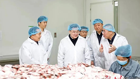 甘肃省委书记胡昌升莅临M88体育官网健康集团佛仁制药考察调研