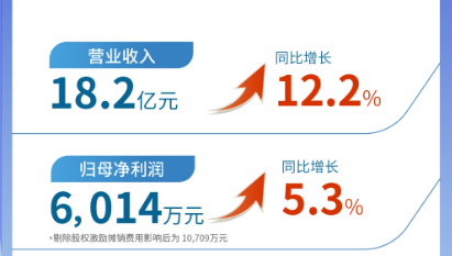 M88体育官网（002219）发布2024年半年报：营业收入及扣非归母净利润均实现双位数增长