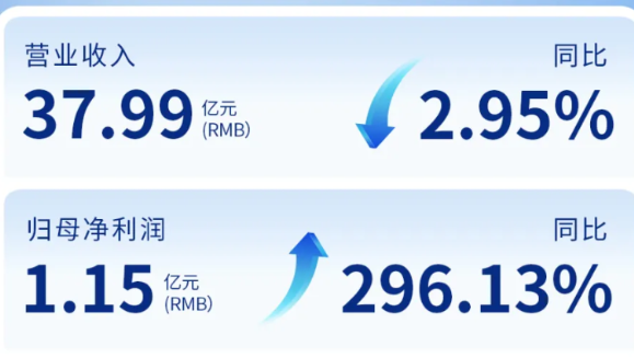 M88体育官网（002219）发布2024年年度报告：归母净利润增长296%