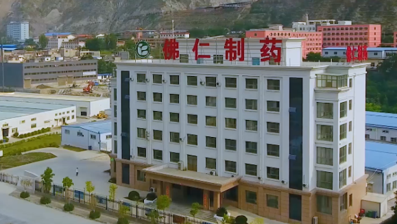 甘肃省副省长葛建团莅临M88体育官网（002219）旗下佛仁制药考察调研